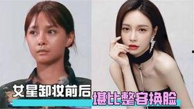 国产女明星ai换脸在线观看,虚拟与现实交织的视觉盛宴