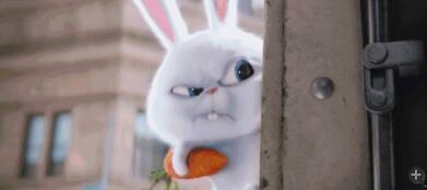 兔子的动画电影国产版在线观看,国产动画电影在线观看之旅