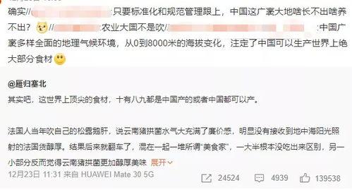 国产在线一区9大神,揭秘网络红人的崛起之路